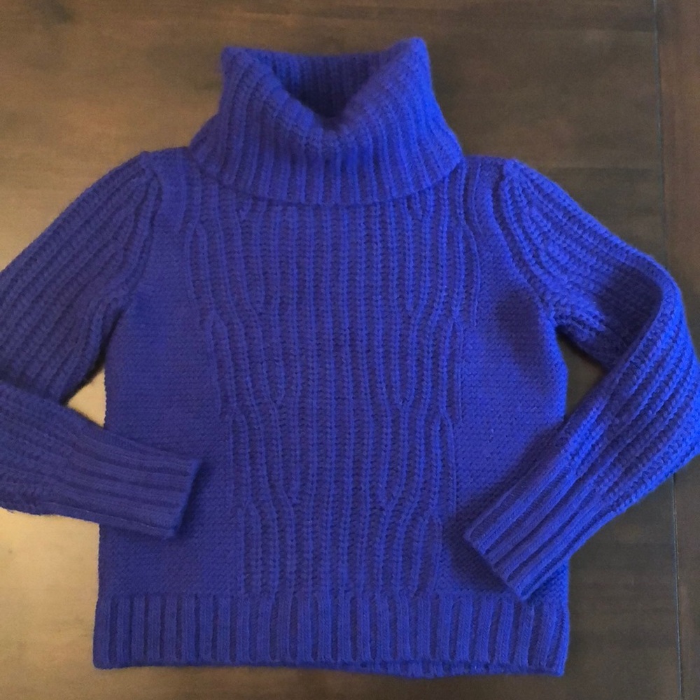 Banana Republic Royal Blue Sweater